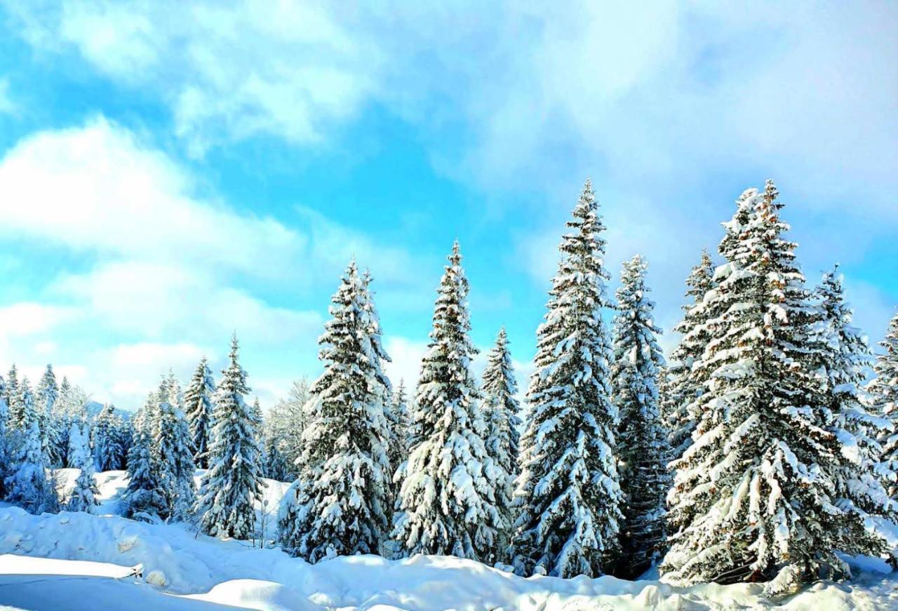 Jahorina 7Lux Appartement Buitenkant foto
