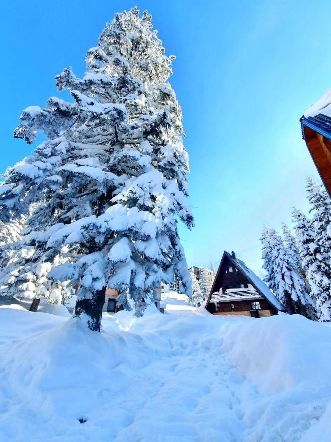 Jahorina 7Lux Appartement Buitenkant foto