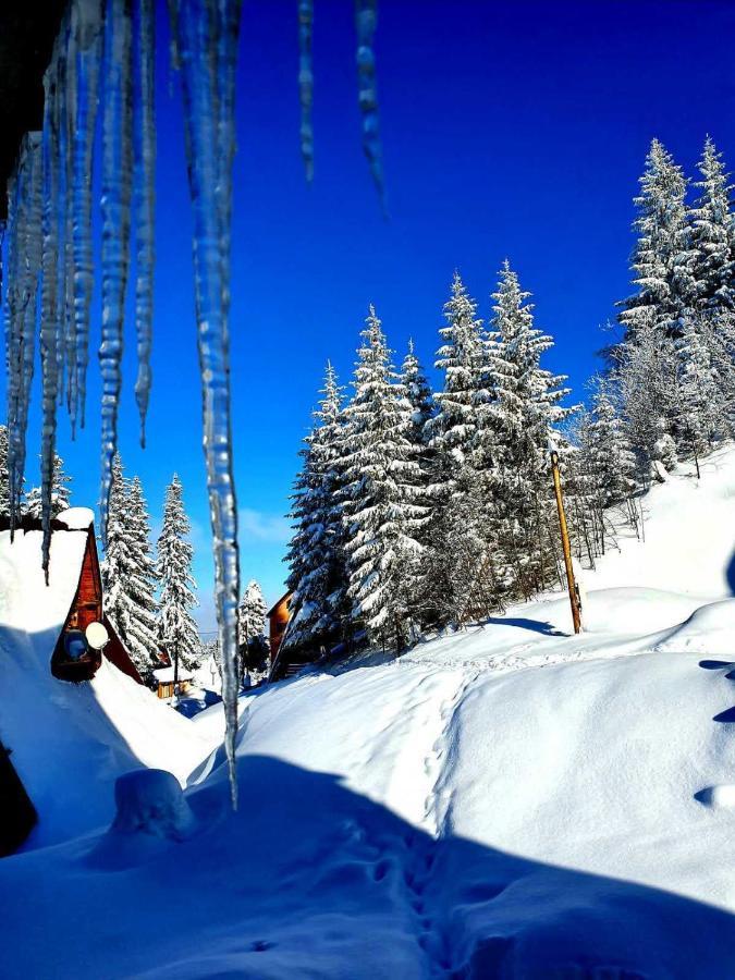 Jahorina 7Lux Appartement Buitenkant foto